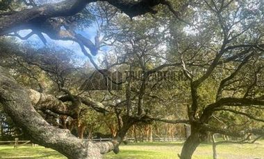 Parcela en Venta en Loteo Patagon Ranch, km 36 Camino Puerto Varas - Ensenada