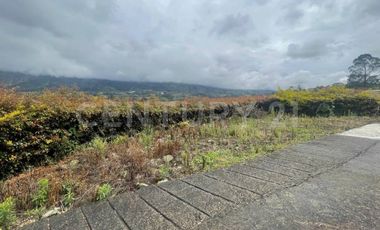 VENDO 4 LOTES SEGUIDOS DESDE 11.500m2 a 15.570m2 EN SUBIA SILVANIA,CUNDINAMARCA