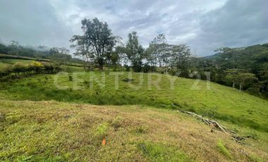 VENDO 4 LOTES SEGUIDOS DESDE 11.500m2 a 15.570m2 EN SUBIA SILVANIA,CUNDINAMARCA