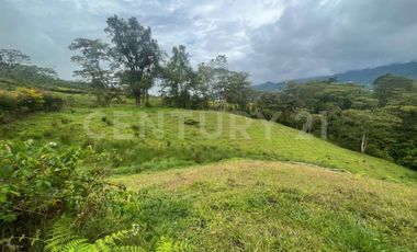 VENDO 4 LOTES SEGUIDOS DESDE 11.500m2 a 15.570m2 EN SUBIA SILVANIA,CUNDINAMARCA