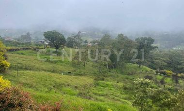 VENDO 4 LOTES SEGUIDOS DESDE 11.500m2 a 15.570m2 EN SUBIA SILVANIA,CUNDINAMARCA