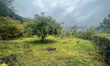 VENDO 4 LOTES SEGUIDOS DESDE 11.500m2 a 15.570m2 EN SUBIA SILVANIA,CUNDINAMARCA