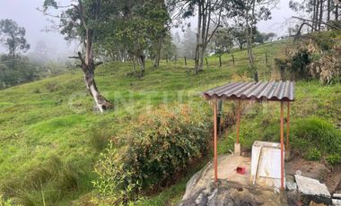 VENDO 4 LOTES SEGUIDOS DESDE 11.500m2 a 15.570m2 EN SUBIA SILVANIA,CUNDINAMARCA