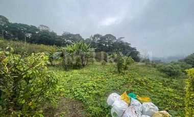 VENDO 4 LOTES SEGUIDOS DESDE 11.500m2 a 15.570m2 EN SUBIA SILVANIA,CUNDINAMARCA