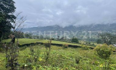 VENDO LOTES DE 11.500m2 y 12.500m2 EN SUBIA SILVANIA,CUNDINAMARCA