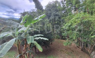 GRAN OPORTUNIDAD VENDO HERMOSA CASA CAMPESTRE EN LA MESA SECTOR SAN NICOLAS BAJO