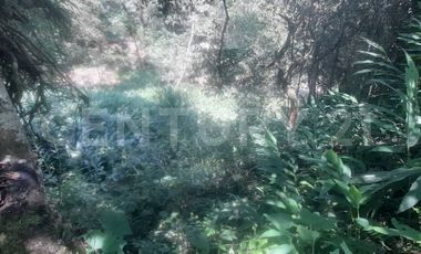 VENDO  FINCA PEQUEÑA IDEAL PARA DESCANSAR EN SAN FRANCISCO CUNDINAMARCA