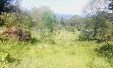 VENDO  FINCA PEQUEÑA IDEAL PARA DESCANSAR EN SAN FRANCISCO CUNDINAMARCA