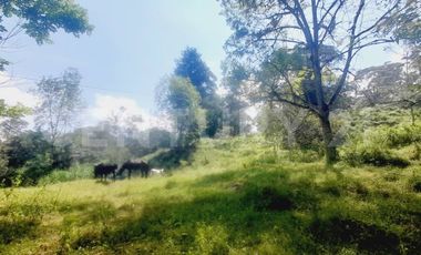 VENDO  FINCA PEQUEÑA IDEAL PARA DESCANSAR EN SAN FRANCISCO CUNDINAMARCA