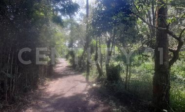 VENDO  FINCA PEQUEÑA IDEAL PARA DESCANSAR EN SAN FRANCISCO CUNDINAMARCA