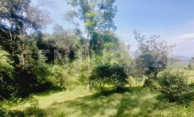 VENDO  FINCA PEQUEÑA IDEAL PARA DESCANSAR EN SAN FRANCISCO CUNDINAMARCA