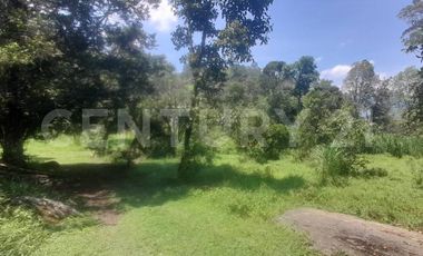 VENDO  FINCA PEQUEÑA IDEAL PARA DESCANSAR EN SAN FRANCISCO CUNDINAMARCA