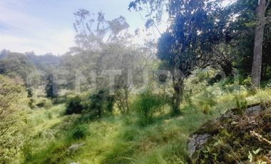 VENDO  FINCA PEQUEÑA IDEAL PARA DESCANSAR EN SAN FRANCISCO CUNDINAMARCA