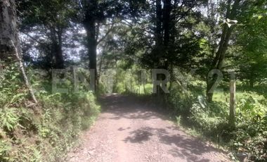 VENDO  FINCA PEQUEÑA IDEAL PARA DESCANSAR EN SAN FRANCISCO CUNDINAMARCA