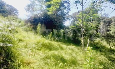 VENDO  FINCA PEQUEÑA IDEAL PARA DESCANSAR EN SAN FRANCISCO CUNDINAMARCA