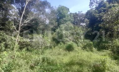 VENDO  FINCA PEQUEÑA IDEAL PARA DESCANSAR EN SAN FRANCISCO CUNDINAMARCA