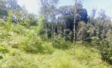 VENDO  FINCA PEQUEÑA IDEAL PARA DESCANSAR EN SAN FRANCISCO CUNDINAMARCA