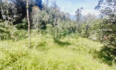 VENDO  FINCA PEQUEÑA IDEAL PARA DESCANSAR EN SAN FRANCISCO CUNDINAMARCA