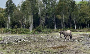 Parcela en Venta en Casa en Parcelación Alerce Escondido - Polincay
