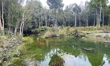 Parcela en Venta en Casa en Parcelación Alerce Escondido - Polincay