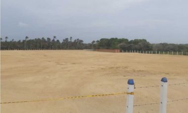 Espectacular LOTE,sector Sabanilla Puerto Colombia VG