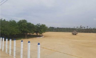Espectacular LOTE,sector Sabanilla Puerto Colombia VG