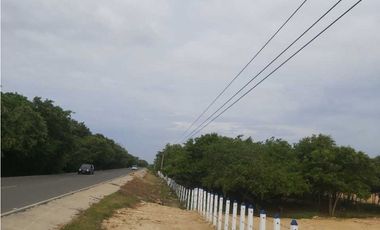 Espectacular LOTE,sector Sabanilla Puerto Colombia VG
