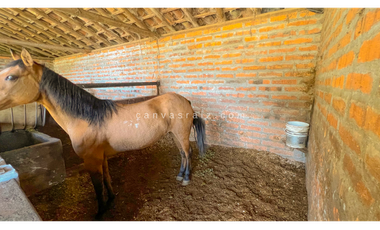 Finca Caballista Guarne, Vía Aeropuerto