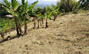 LOTE EN VENTA VIA ALTAGRACIA-PEREIRA