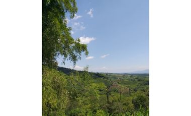 LOTE EN VENTA VIA ALTAGRACIA-PEREIRA