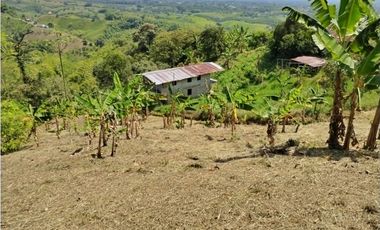 LOTE EN VENTA VIA ALTAGRACIA-PEREIRA