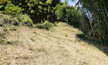 LOTE EN VENTA VIA ALTAGRACIA-PEREIRA