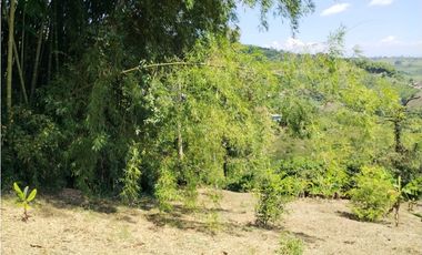 LOTE EN VENTA VIA ALTAGRACIA-PEREIRA