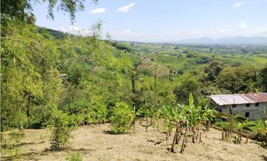 LOTE EN VENTA VIA ALTAGRACIA-PEREIRA