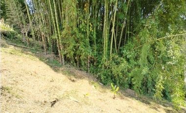 LOTE EN VENTA VIA ALTAGRACIA-PEREIRA
