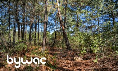 ¡Oportunidad Única de Inversión! Terreno en Exclusivo Fraccionamiento