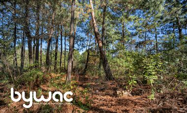 Terreno en Venta Valle de Bravo
