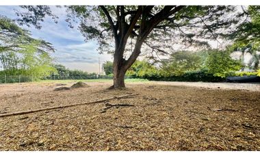 Lote terreno de 1.980m2 en venta Rozo Palmira Valle del Cauca Colombia