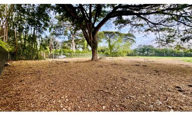 Lote terreno de 1.980m2 en venta Rozo Palmira Valle del Cauca Colombia