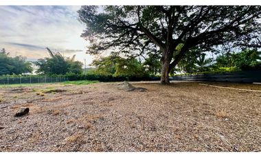 Lote terreno de 1.980m2 en venta Rozo Palmira Valle del Cauca Colombia