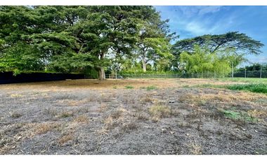 Lote terreno de 1.980m2 en venta Rozo Palmira Valle del Cauca Colombia