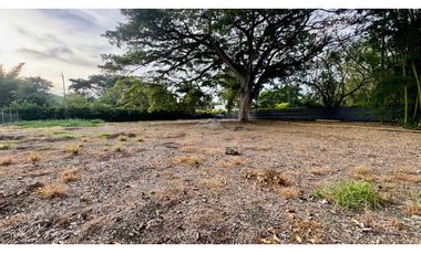 Lote terreno de 1.980m2 en venta Rozo Palmira Valle del Cauca Colombia