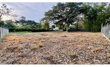 Lote terreno de 1.980m2 en venta Rozo Palmira Valle del Cauca Colombia