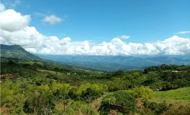 Lote en venta en Támesis Antioquia