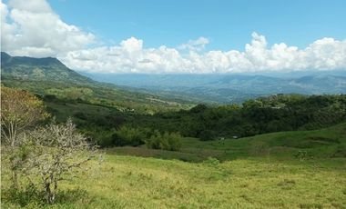 Lote en venta en Támesis Antioquia
