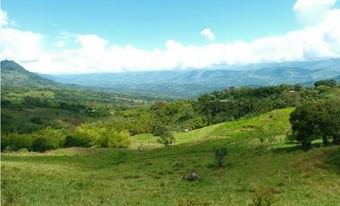 Lote en venta en Támesis Antioquia