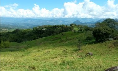 Lote en venta en Támesis Antioquia