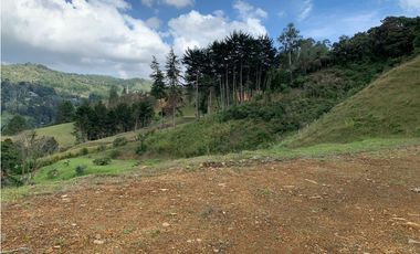 Lote en venta en El Retiro Antioquia
