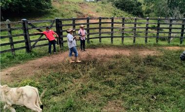 Espectacular finca para ganadería o cultivos en Necoclí
