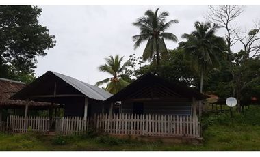 Espectacular finca para ganadería o cultivos en Necoclí